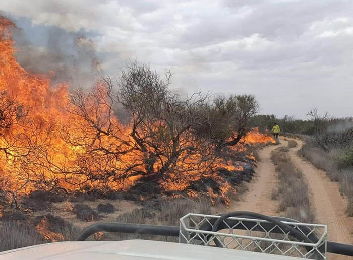 The bush fire in the The fire burnt a considerable amount of the bush in the Gascoyne jumped and merged to create one big fire.