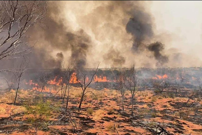 The fire burnt a considerable amount of the bush in the You can see from this photo how intense and hot the fire got in the Gascoyne